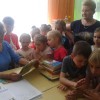 Biedronki w 