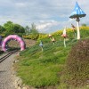 Klasy II w "Magicznych Ogrodach"