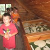 Klasy II w Muzeum Wsi Krasnobrodzkiej