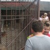 Klasy II w Muzeum Wsi Krasnobrodzkiej