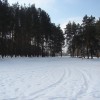 Bieg Tropem Wilczym