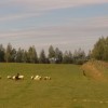Wycieczka do Bałtowa