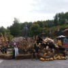 Wycieczka do Bałtowa