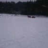 Kulig
