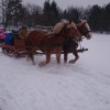Kulig