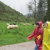 Wycieczka Kraków Zakopane