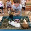 Żywa lekcja biologii