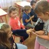 Żywa lekcja biologii