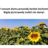 Wyniki szkolnego konkursu z okazji Dnia Ziemi