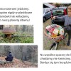 Wyniki szkolnego konkursu z okazji Dnia Ziemi