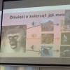Finał realizacji projektu w klasie III b