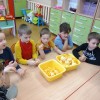 Innowacja pedagogiczna- 