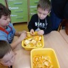 Innowacja pedagogiczna- 