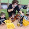 Innowacja pedagogiczna- 