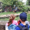 Jeżyki zwiedzają zamojskie ZOO