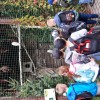 Jeżyki zwiedzają zamojskie ZOO