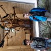 Jeżyki zwiedzają zamojskie ZOO