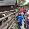 Jeżyki zwiedzają zamojskie ZOO