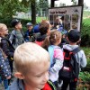 Jeżyki zwiedzają zamojskie ZOO