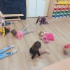 Światowy Dzień Kota