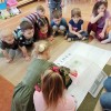MALI BADACZE – EKSPERYMENTUJEMY Z MAŁYM MISIEM