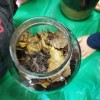 Klasowe doświadczenie zoologiczne w klasie I b