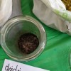Klasowe doświadczenie zoologiczne w klasie I b