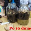 Klasowe doświadczenie zoologiczne w klasie I b