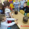 Klasowe doświadczenie zoologiczne w klasie I b