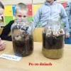 Klasowe doświadczenie zoologiczne w klasie I b