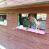 Wyjazd do przedszkolaków Bliżowa