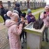 Wycieczka klas III do Sandomierza i Nowej Dęby