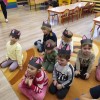 Światowy Dzień Kota w naszym przedszkolu