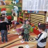Światowy Dzień Kota w naszym przedszkolu
