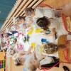 Spotkania wigilijne w grupach przedszkolnych