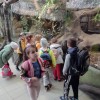 Słoneczka w Zoo