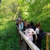 Wycieczka do Suśca Skarby Naszej Ziemi - projekt edukacyjny klasy 7 b