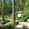 Wycieczka do Suśca Skarby Naszej Ziemi - projekt edukacyjny klasy 7 b