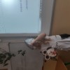 ,,Uczta u Zeusa'' podsumowanie projektu edukacyjnego klas V