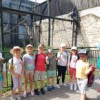 Wycieczka zerówek do ZOO