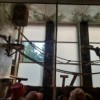 Wycieczka zerówek do ZOO