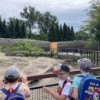 Wycieczka zerówek do ZOO