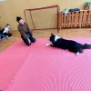 Dogoterapia