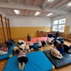Dogoterapia