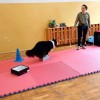 Dogoterapia