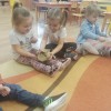 DZIEŃ BURAKA W PRZEDSZKOLU W RAMACH PROJEKTU EDUKACYJNEGO 