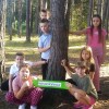 "Przytul się do drzewa"