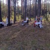 "Przytul się do drzewa"