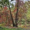 Sprzątanie Świata liceum