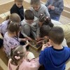 Warsztaty "Podwodny świat"
